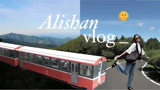Taiwan Vlog | 5am Alishan sunrise, best aiyu jelly 💛 3天阿里山姑娘