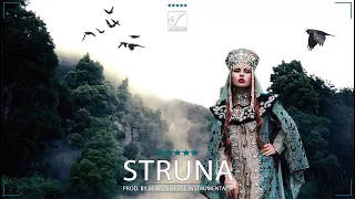 Russian Slovak Type Beat "STRUNA" Accordion Type Beat Instrumental