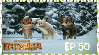 Soleil Noir ☀️ Les légendes de Tatonka 🐺 Dessin animé de loups