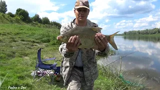 Это САЛО точно по ЛЕЩУ! Рыбалка на донки, ловля леща! Рыбалка на Оке!