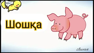 Выпуск  N48. Казахский язык. Домашние животные