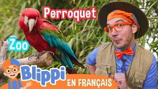 Blippi visite le Zoo de San Diego🦜🐒