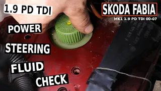 SKODA FABIA Power Steering Fluid Check &Fill (Mk1 1.9 PD 00-07)