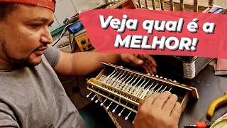 Existe SANFONA CHINESA com mecânica BOA?? Veja com o afinador!