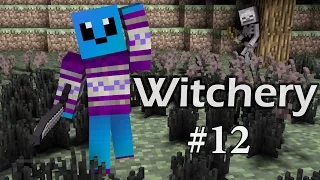 Minecraft: Witchery 12 |