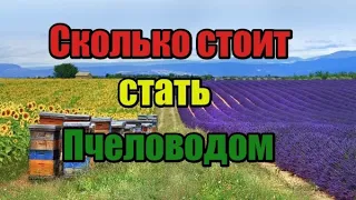 Сколько стоит стать пчеловодом! Затраты на открытие пасеки! А стоит ли заниматься пчеловодствам?