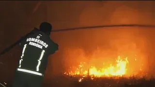 Record number of wildfires burning in Amazon rainforest