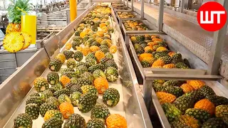 How Pineapple Juice Is Made In Factory | Modern Fruit Juice Making Technology | Food Factory