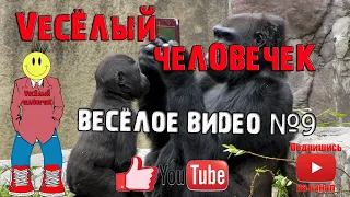 смех до слез, весёлое видео,  приколы 2020, попробуй не засмеяться, ржака, лютые приколы №9