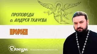 Пророки. Протоиерей Андрей Ткачев. Проповедь 27 08 17