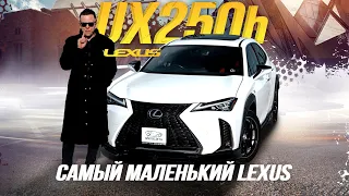 ОБЗОР LEXUS UX250H🔥МЕЧТА МИЛЛЕНИАЛА😎