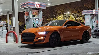 2020 GT500 vs The World! (CT5-V Blackwing, ZL1, ZO6s, Redeye & More!)