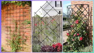 Marvelous Garden Trellis Ideas