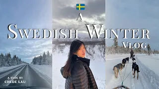 Swedish Lapland Vlog: Northern Lights, Dog Sledding in Kiruna & Abisko