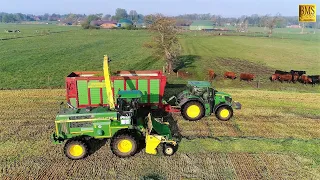 Grünroggen häckseln /silieren 2019 Gras Energiepflanze für Biogasanlage Feldhäcksler John Deere 6850
