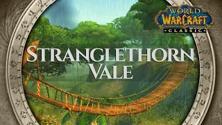 Stranglethorn Vale - Music & Rain Ambience | World of Warcraft Classic