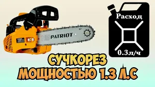 Review of Patriot PT2512 one-handed chainsaw
