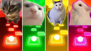 Chipi Chipi Chapa Chapa Cat vs Vibing Cat vs Huh Cat vs Malow Cat - Tiles Hop EDM Rush