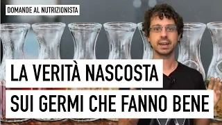 La verità nascosta sui germi che fanno bene