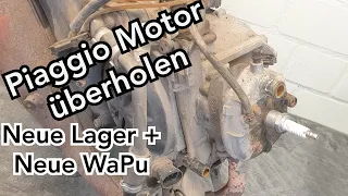Piaggio 50cc Motor überholen | Neue Lager | Neue Wasserpumpe | Lilo Scooter Performance |
