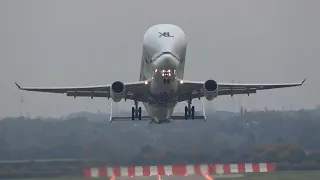 FIRST WEEKEND BELUGA’S IN 2 YEARS! - BELUGA XL EPIC OVERHEAD TAKEOFF AT HAWARDEN AIRPORT ✈️