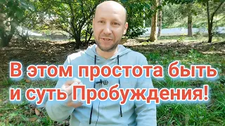 Весь мир это Сознание |Теория и практика узнавания себя всем | #пробуждение #поисксебя #