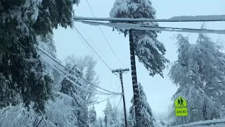 Crestline snowstorm November 30th/December 1st part 5