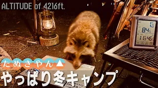 たぬキャン△いや、たぬきやん！一足先にやっぱり冬キャンプ in 標高1,285m 長野「駒出池キャンプ場」（パンダTCプラス + シルス170TC）【ソロキャンプ】