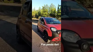 Fiat panda 4x4 crossing