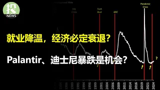 软着陆已成定局？这次经济有什么不一样；Palantir财报中被人忽视的亮点；迪士尼流媒体盈利还不够，又怎么了？