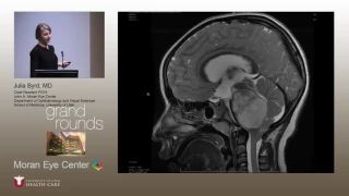 Horizontal Gaze Palsy: a Case Presentation