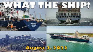 What the Ship! Containership Profits, Ukrainian Grain Sails, Hawaii Coal, US LNG Ship & RIMPAC 2022