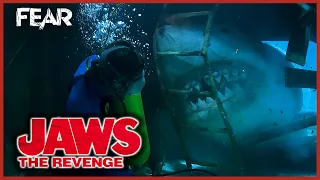 Jaws Chases Him Through A Shipwreck | Jaws: The Revenge | Fear