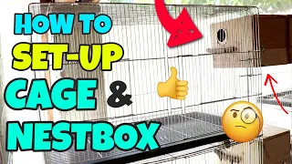 HOW TO SET UP CAGE & NESTBOX PROPERLY FOR YOUR LOVEBIRDS - Breeding Cage Setup for Lovebirds