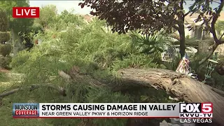 Storms cause damage across the valley, downed tree at Green Valley Parkway and Horizon Ridge