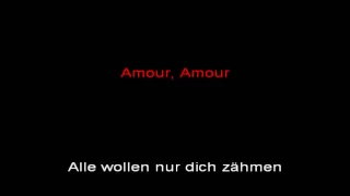 Rammstein - Amour (instrumental with lyrics)