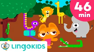 WILD ANIMAL SONGS FOR KIDS 🐘🐒🦒 + More Adventure Songs | Lingokids