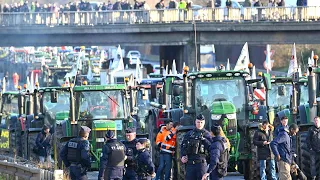 Фермеры Бельгии перекрыли трассу на границе с Нидерландами. Бунт в Европе достиг небывалых масштабов