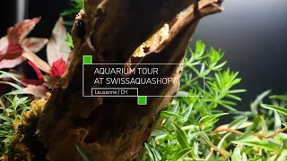 Aquarium Tour at Swissaquashop