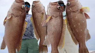 What Lives in Undersea Mountain Ranges? | Record YELLOWEDGE Grouper | Catch, Clean, & Cook