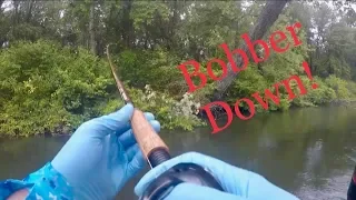 BOBBER DOWN - Salmon Fishing in Tight Water