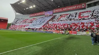 Antwerp Genk sfeer 1