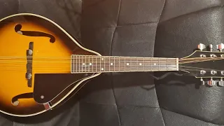 Rover Mandolin! "It Barks and It Bites" Finished part 2.... (see description)