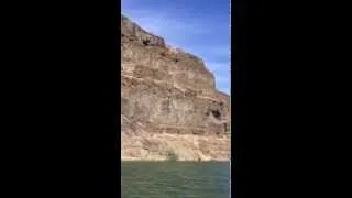 Cow falls from 900 feet from coulee cliff in the Blue Lake basin.   Near Soap Lake area.