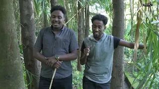 New Eritrean  Sitcom movie  |  Briena International 2023