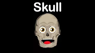 Human Body /Skull Bones/Skull Song