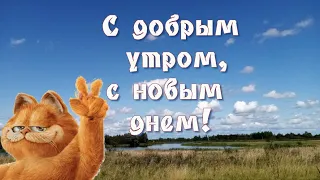 Доброе утро!/ Новый день!