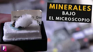 Minerales Bajo el Microscopio y Minerales Falsos #3 - Foro de Minerales