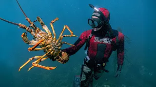 The BIGGEST Lobster Ever Caught Freediving!