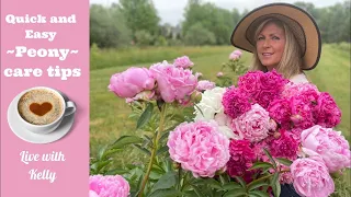 Quick and Easy Peony Care Tips - Live with Kelly